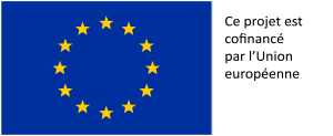 VISUEL_FSE.jpg (UE_flag)