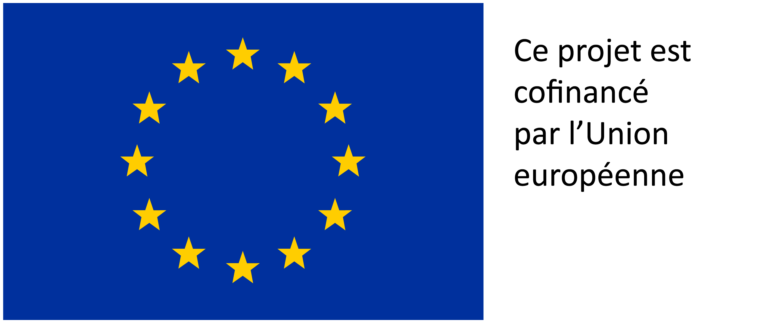 VISUEL_FSE.jpg (UE_flag)